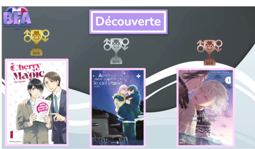 Découvrez les résultats des BoysLove France Awards 2024 !