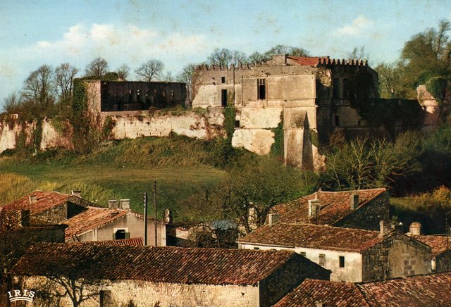 Blog de sylviebernard-art-bouteville : sylviebernard-art-bouteville, La Renaissance du Château de Bouteville (Charente).
