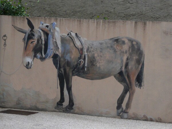 Images insolites de vacances trompe l'oeil mule