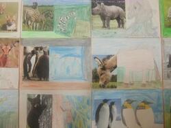 Notre exposition d'arts visuels sur le thème des animaux