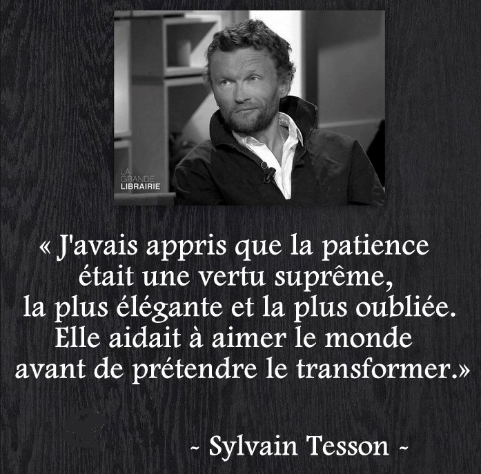Sylvain Tesson Citations (@sylvain_tesson_citations) • Instagram
