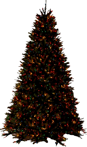 TUBES SAPINS NOEL PNG...POUR VOS CREAS...BELLE ET DOUCE SOIREE A VOUS