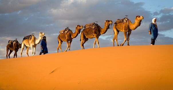 Les caravanes de chameaux dans le Sahara antique - Encyclopédie de  l'Histoire du Monde