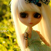 Amy Pullip