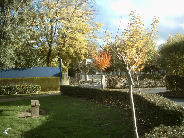 paysage d'automne en gironde
