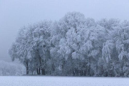 Hiver givré