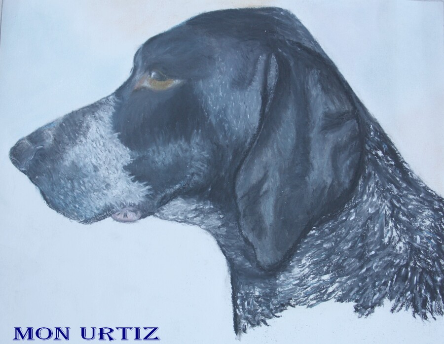 Pastel d'URTIZ, fin de son portrait