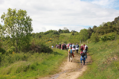 22.05.2024. Rando à farges Saint Nectaire.12 kms