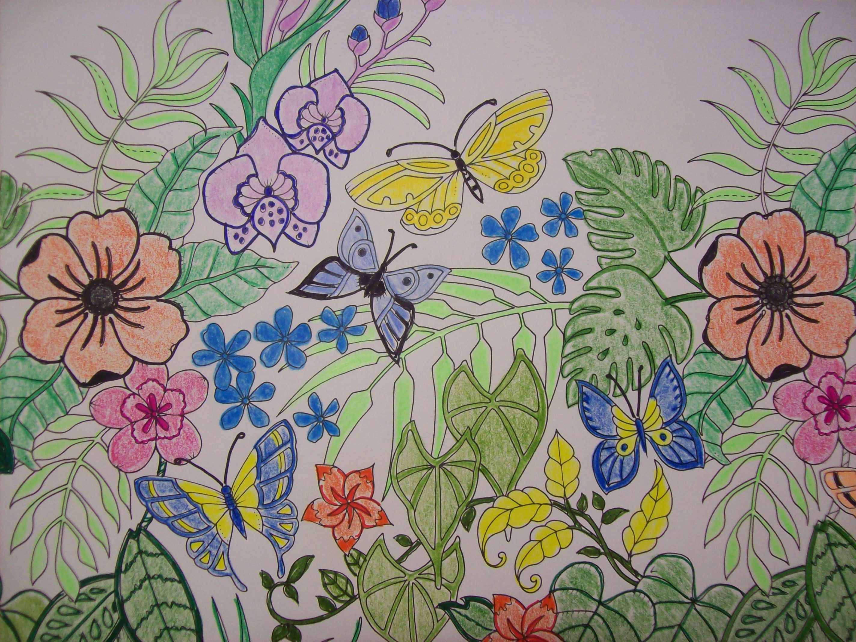 Coloriage chat et jungle magique Simplement la Vie Coloriage chat et jungle magique ·