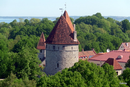Tallinn : vues sur la ville basse ... n 2