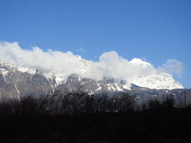 3 loups en Savoie sur Ugine