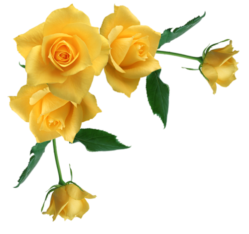 FLEURS