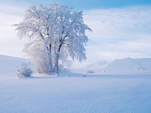 images couleurs d'hiver