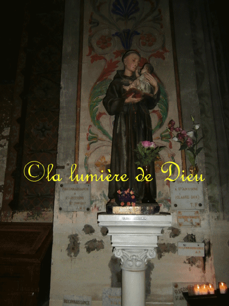 Saint Rémy de Provence, collégiale Saint Martin