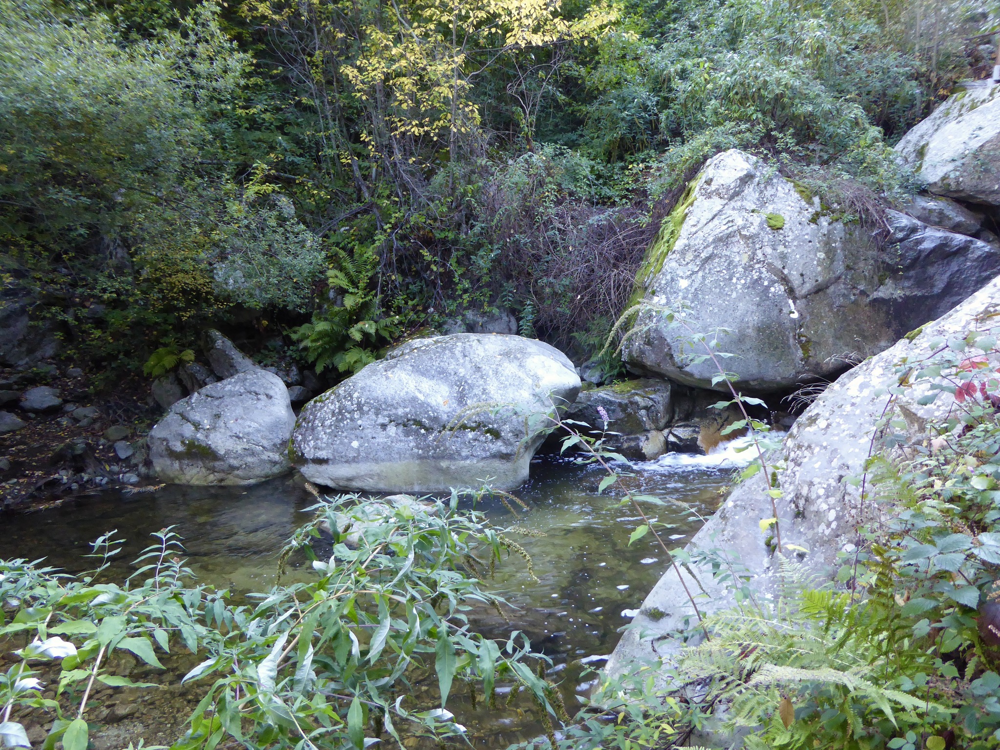 Peut être une image de étendue d’eau