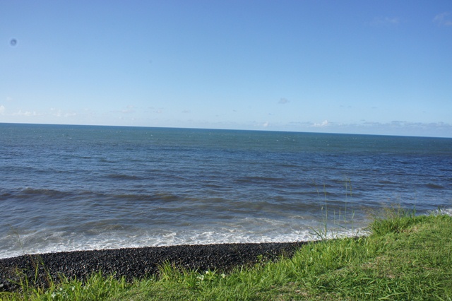 Bois Madame (fin) -