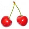 littlecherry