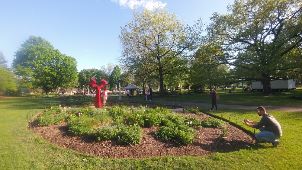 Ottawa Tulip Festival on May 18th 2022