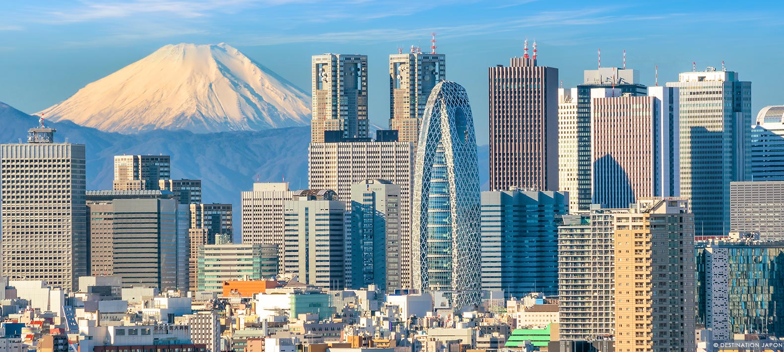 Tokyo, capitale éclectique - Les incontournables | Destination Japon