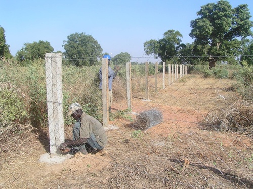 EXTENSION DU JARDIN DE MARAICHAGE A TOGO