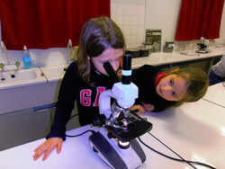 Ateliers sciences au collège