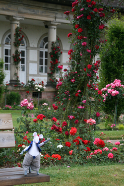 Promenade à Epinal