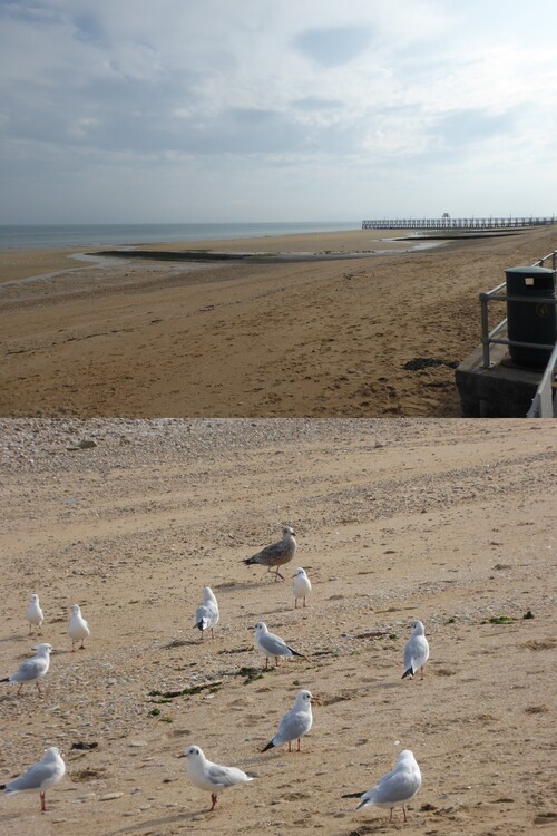 Vacances chez des amis, Luc sur mer (14)