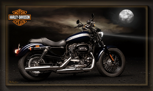 Layout Harley‑Davidson 1200 Custom