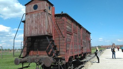 AUSCHWITZ visite poignante