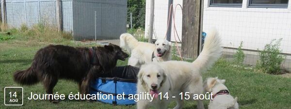 Journée éducation canine et agility le dimanche 14 aôut