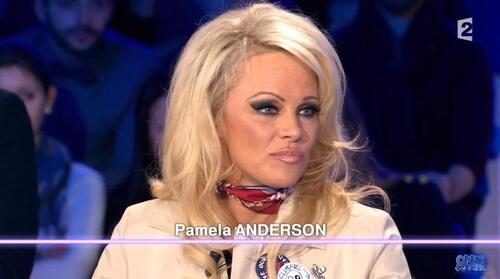 Le coup de gueule de Pamela Anderson contre le sexisme des députés français