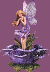 Fées Papillon
