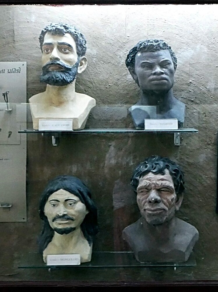 Le musée Chhota Udaipur - Gujarat - Inde 
