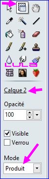 Effets couleurs sur une image désaturée (#2)