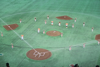 Tokyo Dome match Giants vs Tigers