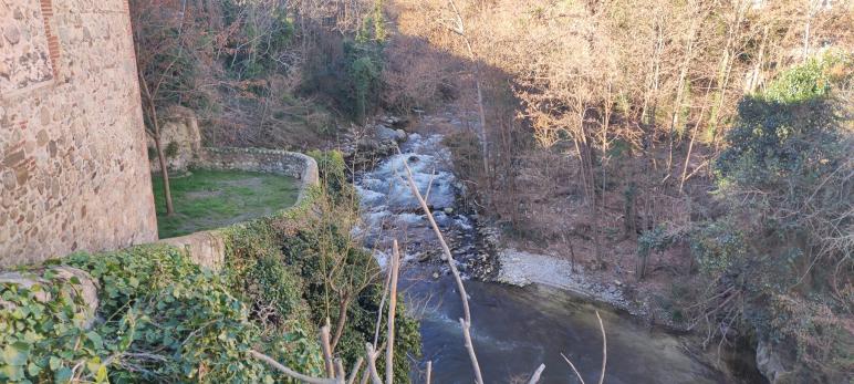 Peut être une image de arbre, étendue d’eau et nature