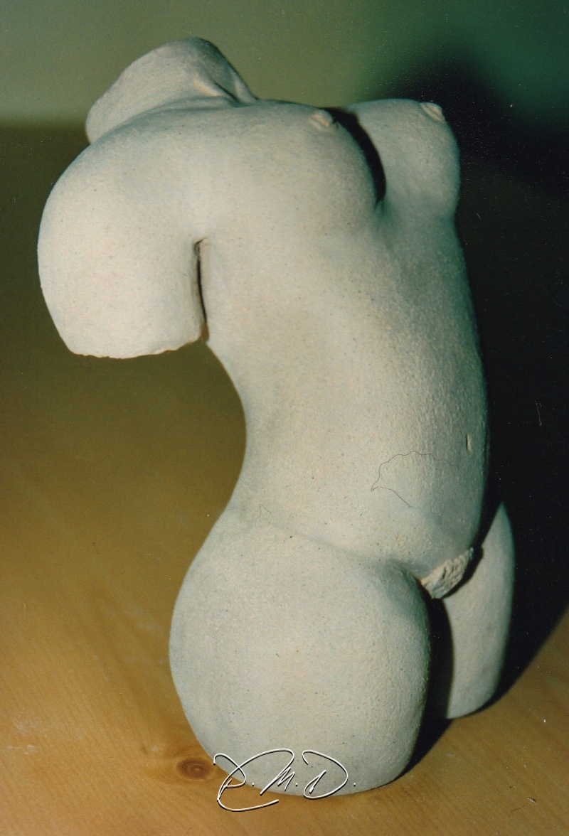 Terre chamottée cuite