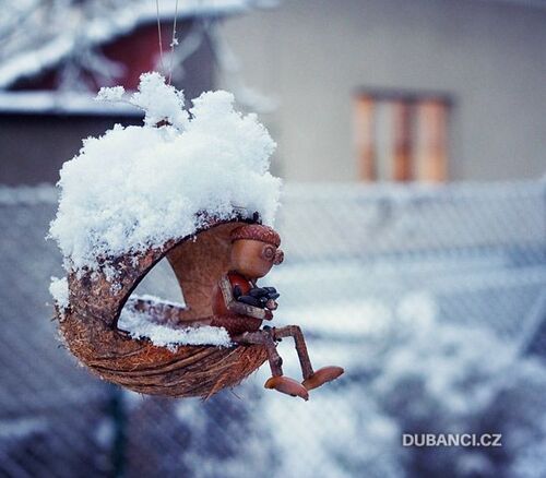 Dubanci et l'hiver