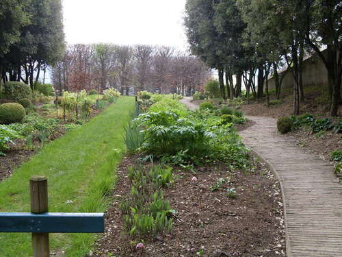 promenade au parc Citroën (suite)