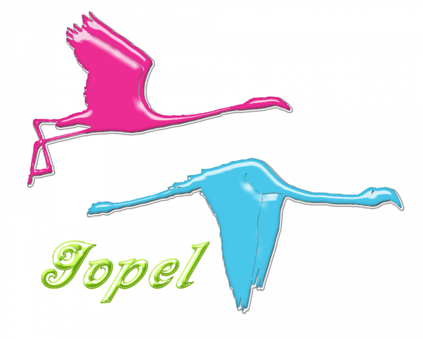 Les Flamants Kit été par Jopel