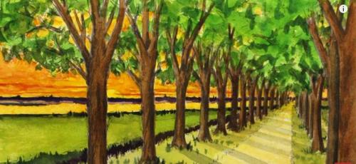 Dessin et peinture - vidéo 2355 : Comment dessiner, en perspective, une route bordée d’arbres, avec un point de fuite ?