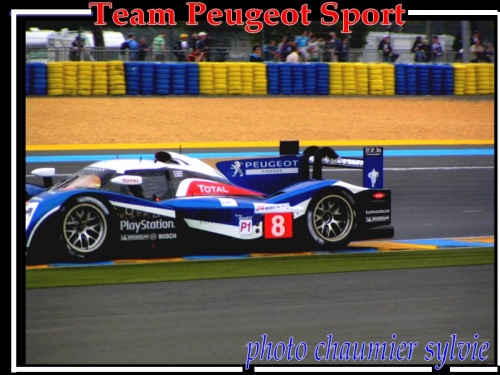 Team Peugeot Sport