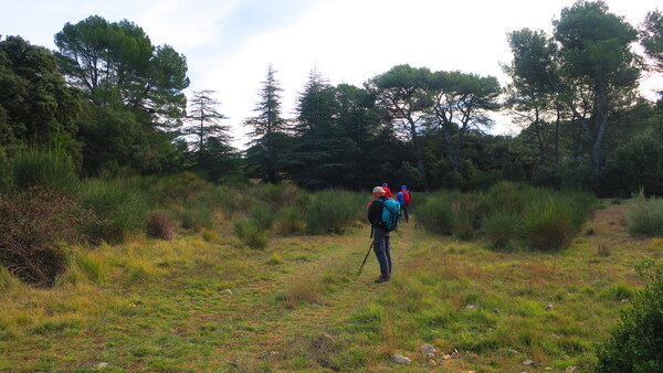 Petit Luberon