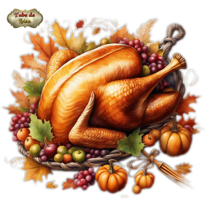 Thanksgiving - Autour de la dinde 2