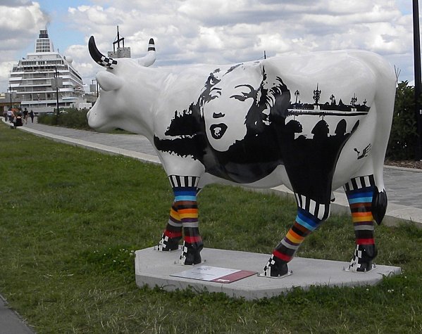 cow49