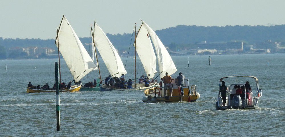 Voiles en liberté 2024 à Andernos - Virement de bord des pinassottes...