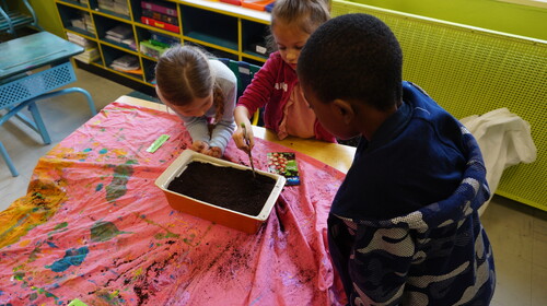 un potager dans la classe?