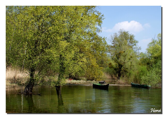 Ici et là autour du Lac du Der.