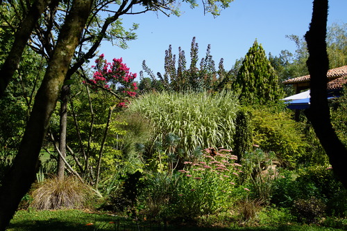 Le jardin d'Entêoulet : le paradis selon Renée