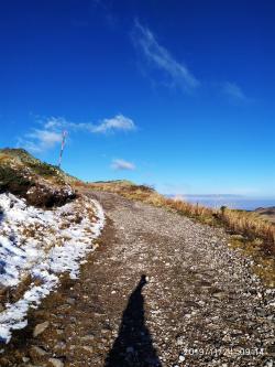 Walk in the snow !